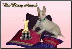 the-missy-award